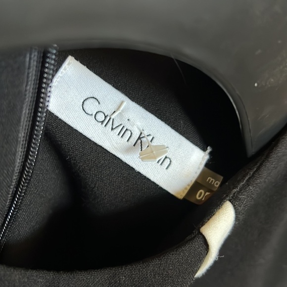 Calvin Klein Sheath 0P - Picture 4 of 4